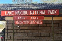Day Safari at Nakuru National Park