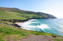 Dingle and Slea Head Private Tour