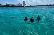 Catamaran Reef Snorkel & Turtle Adventure