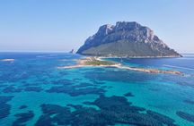 8 Hours Excursion in the Gulf of Olbia with aperitif+lunch included