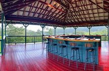 Craft Chocolate Tasting and Farm Experience on the Big Island