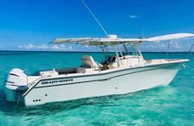 Private All-Inclusive Boat Charter to Icacos or Palomino island