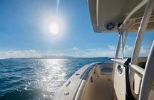 Private All-Inclusive Boat Charter to Icacos or Palomino island