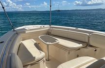 Private All-Inclusive Boat Charter to Icacos or Palomino island