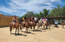 Roatan Tour with Horseback Ride Sloth Park and Glass Bottom Boat