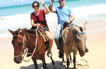 HORSEBACK - RIDE Through Punta Cana