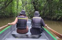 Package of 3 excursions in Tortuguero 