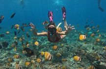 ️Nusa Penida by Private Boat - Snorkeling 4 spots, Swim with Mantas + Land Tour