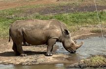 Nairobi National Park and Giraffe Center Daily Tours.