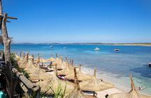 Private Boat Tour to Kamenjak and Levan Island with Lunch