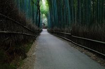 Historical Kyoto E-Bike Tour 