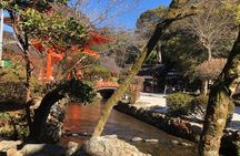 Historical Kyoto E-Bike Tour