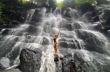 Discover Ubud Top Attractions: Rice Terrace & Waterfalls Tour