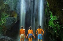 Bali: Waterfall Tour and Ubud Monkey Forest Private Day Trip