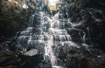 Discover Ubud Top Attractions: Rice Terrace & Waterfalls Tour