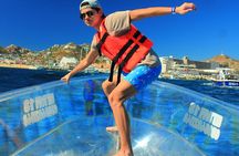 Tour to Arch in the only Clear Boat in Cabo Cruise Hotel PICKUP!