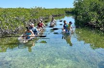 Guided Clear Kayak Eco-Tour Near Key West