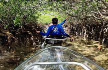 Guided Clear Kayak Eco-Tour Near Key West