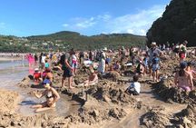 Cathedral Cove and Hot Water Beach Private Tour 