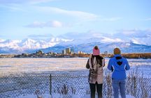 Anchorage's Winter City Tour = Samples + Stops + WildLife