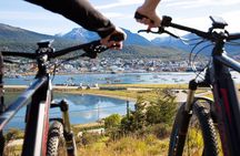 City tour by Assisted Bike between Urban Landscapes