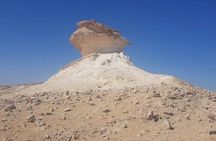 Qatar West Coast Zkreet Richard Sierra Camel Track Rock Formation