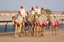 Qatar West Coast Zkreet Richard Sierra Camel Track Rock Formation
