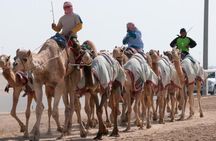 Qatar West Coast Zkreet Richard Sierra Camel Track Rock Formation