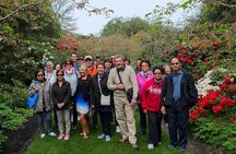 Private Tour Dunedin