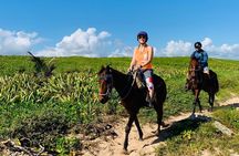 Punta Cana Horseback Ride: Jungle, Macao Beach & Free Pick Up