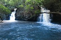 All Inclusive Full Day Tour in Saranda Forest from Kolkata
