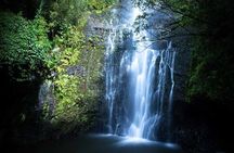 Full Day Private Maui Waterfall, Beach & Hana Tour 