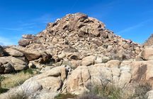 Joshua Tree Natural Wonders Walk: Plants, Animals and Rocks
