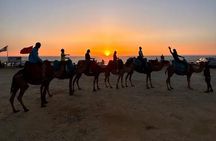 Inclusive Beach Camel Ride, Cap Spartel, Hercules & Full Dinner
