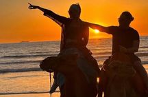 Inclusive Beach Camel Ride, Cap Spartel, Hercules & Full Dinner