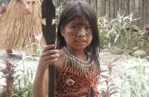 Full Day Amazon Jungle Tour