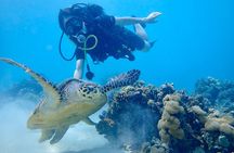 Scuba Diving Menjangan Island