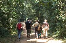 Private 2 Days Volcano Golden Monkey and Bwindi Gorilla Trek