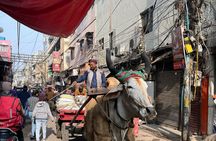 Old Delhi Heritage Food Walk