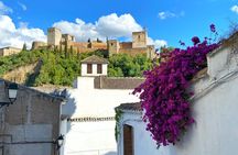 Private Tour Albayzin and City Center (Entrance fees included)