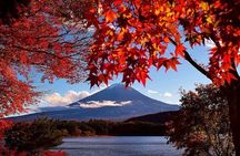 Mt. Fuji View and 2hours+ free time at Gotemba Premium Outlets