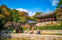 Seoul: Your Private Custom Tour – Half/Full/Outskirts