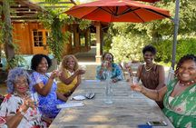 Private Santa Barbara Wine Country Vineyards & Villages Tour 