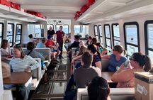 1.5hr Harbour Experience on North America's LARGEST solar boat!