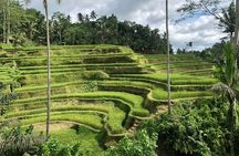 Best of Ubud Village Private Tour with Jungle Swing All Inclusive