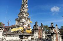 Bali Swing Packages and Denpasar City Private Tour