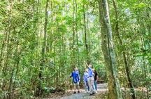 Sunshine Coast Hinterland Highlights: Discover Maleny & Montville