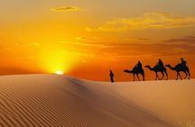 Dubai Morning Desert Safari