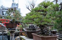 Make your own BONSAI with a professional artist in Tokyo