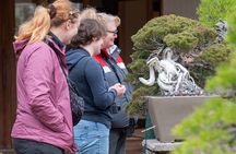 Make your own BONSAI with a professional artist in Tokyo